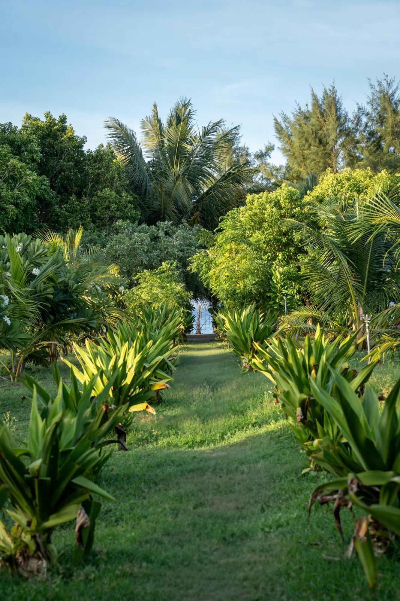 Amanta Beach Nilaveli Exteriör bild